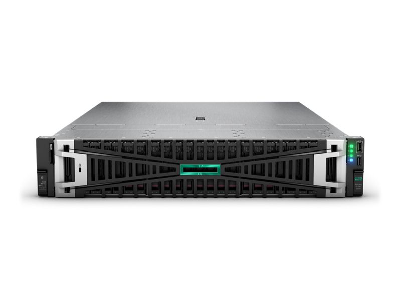 HPE DL385 G11 9124 1P 64G 8LFF EU SVR