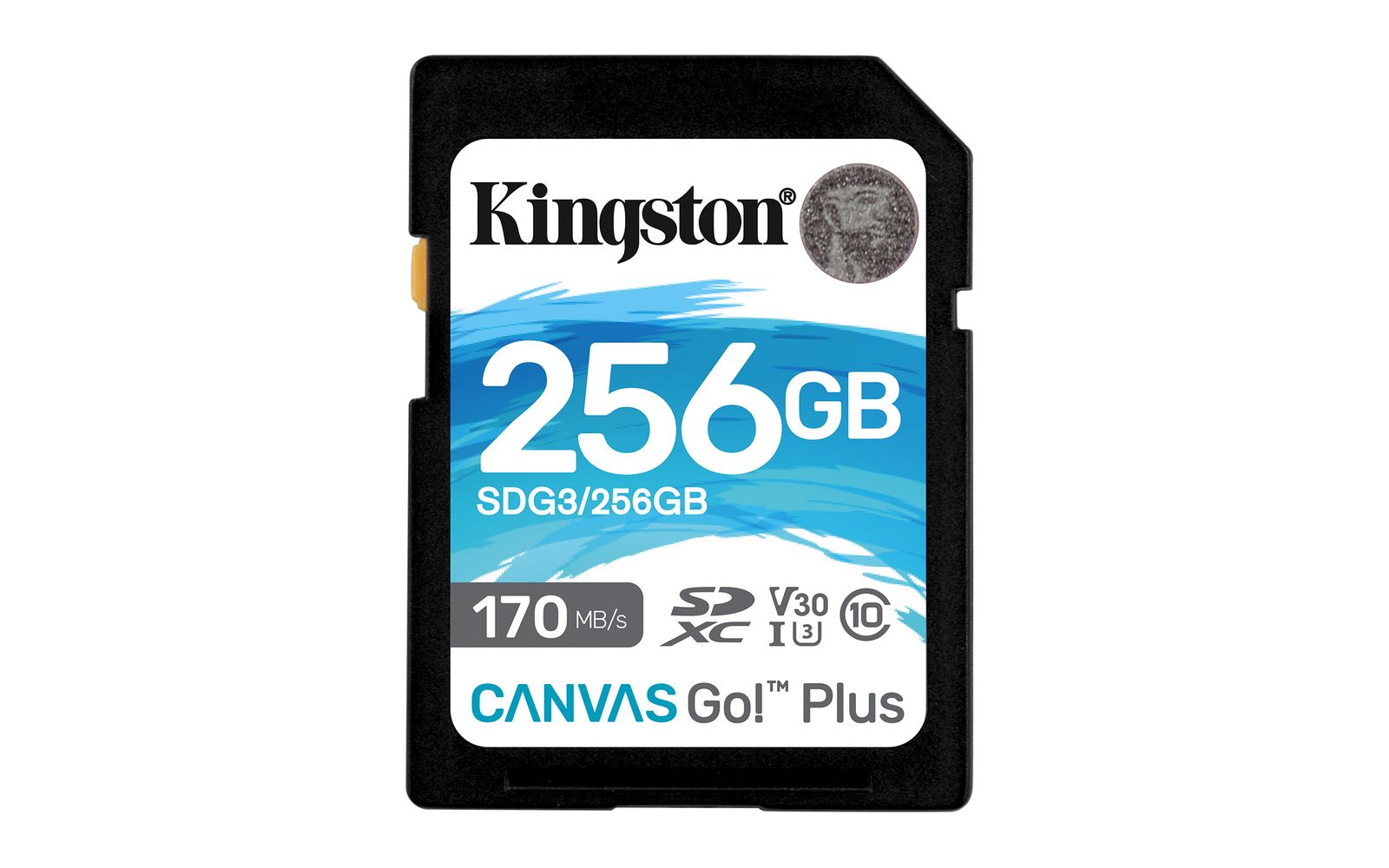 256GB SDXC CANVAS GO PLUS 170R C10 UHS-I U3 V30