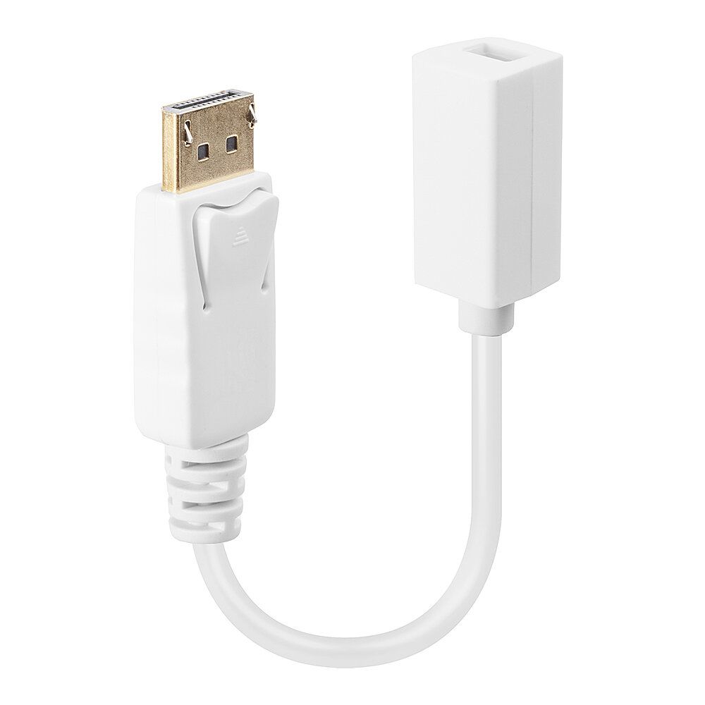 ADATT. DISPLAYPORT M - MINI-DP F