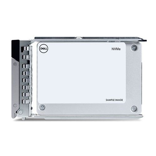 960GB DC NVME RI AG DRIVE U2 GEN4 WITH CARRIER CK