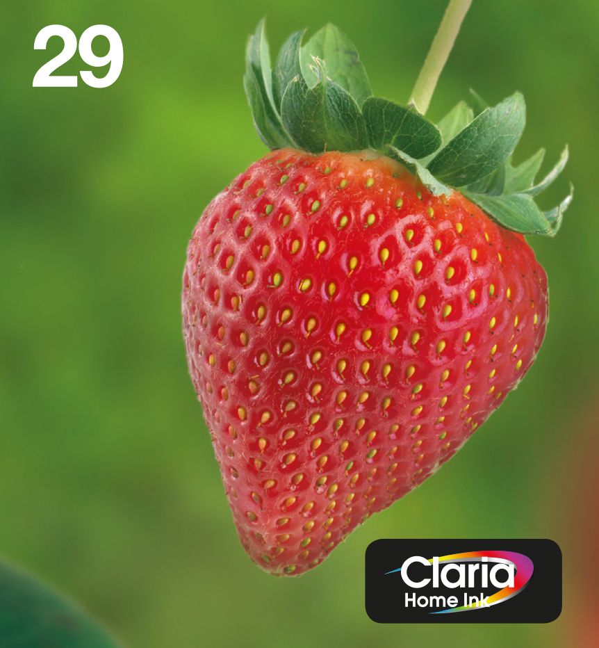 CARTUCCIA 29 SERIE FRAGOLA MULTIPACK