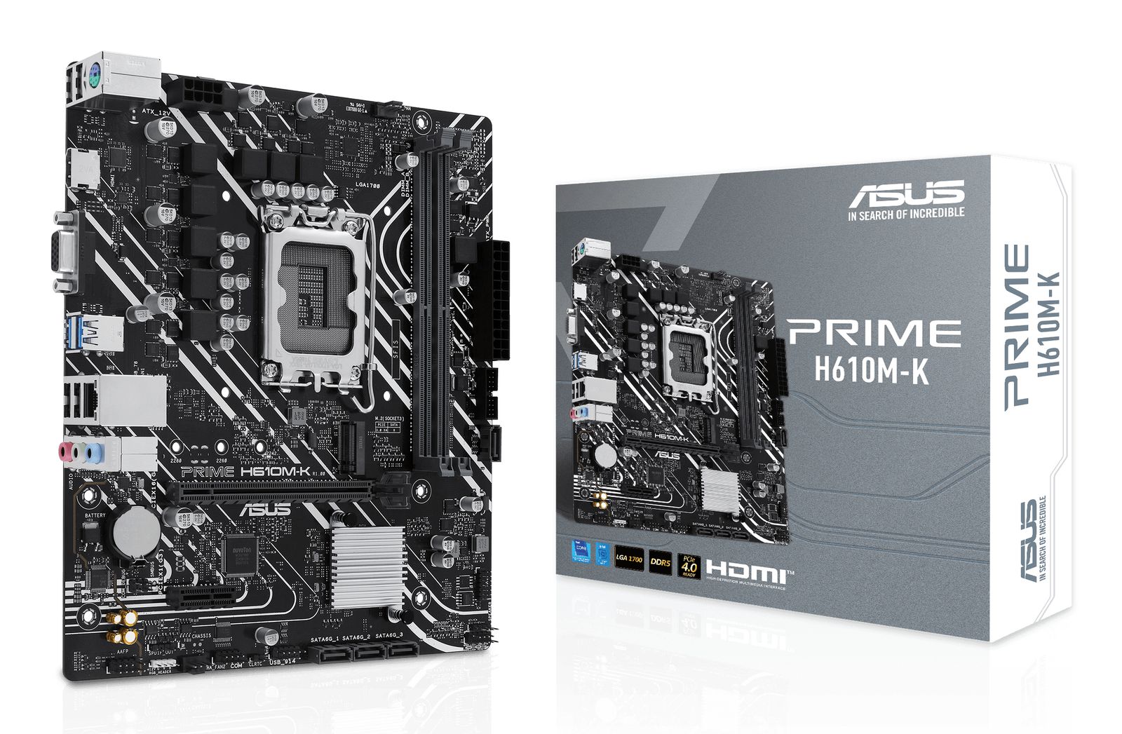 ASUS SCHEDA MADRE PRIME H610M-K