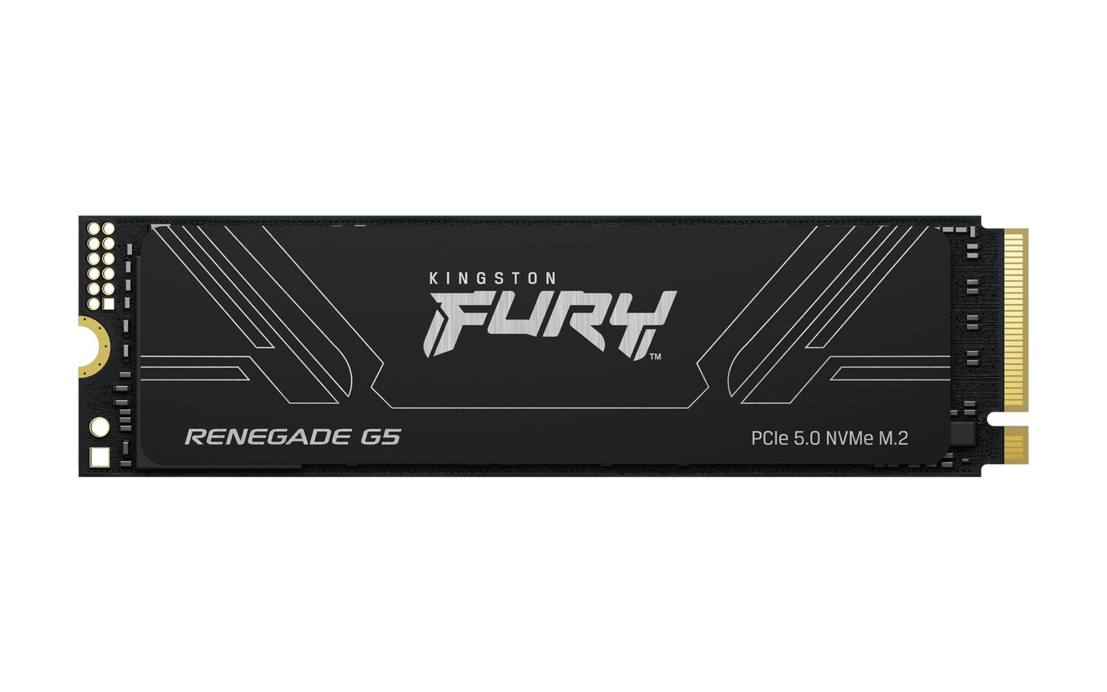 1024GB FURY RENEGADE G5 PCIE 5.0 M.2 NVME SSD