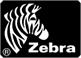 TESTINA DI STAMPA 12DOT ZEBRA Z6M Z6MPLUS E Z6000