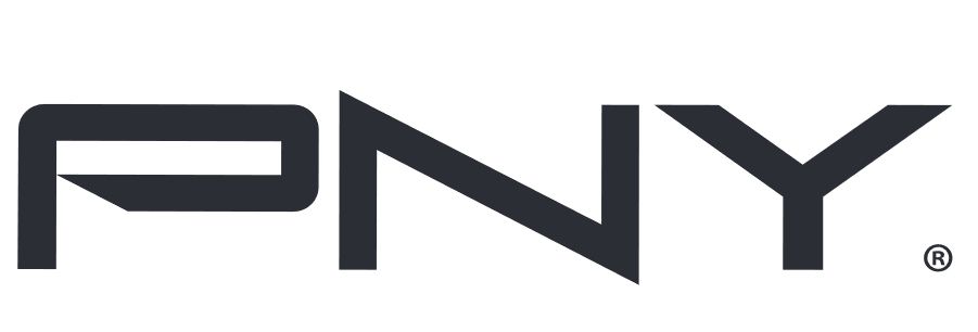 PNY NVIDIA L40 MODULE 48 GB