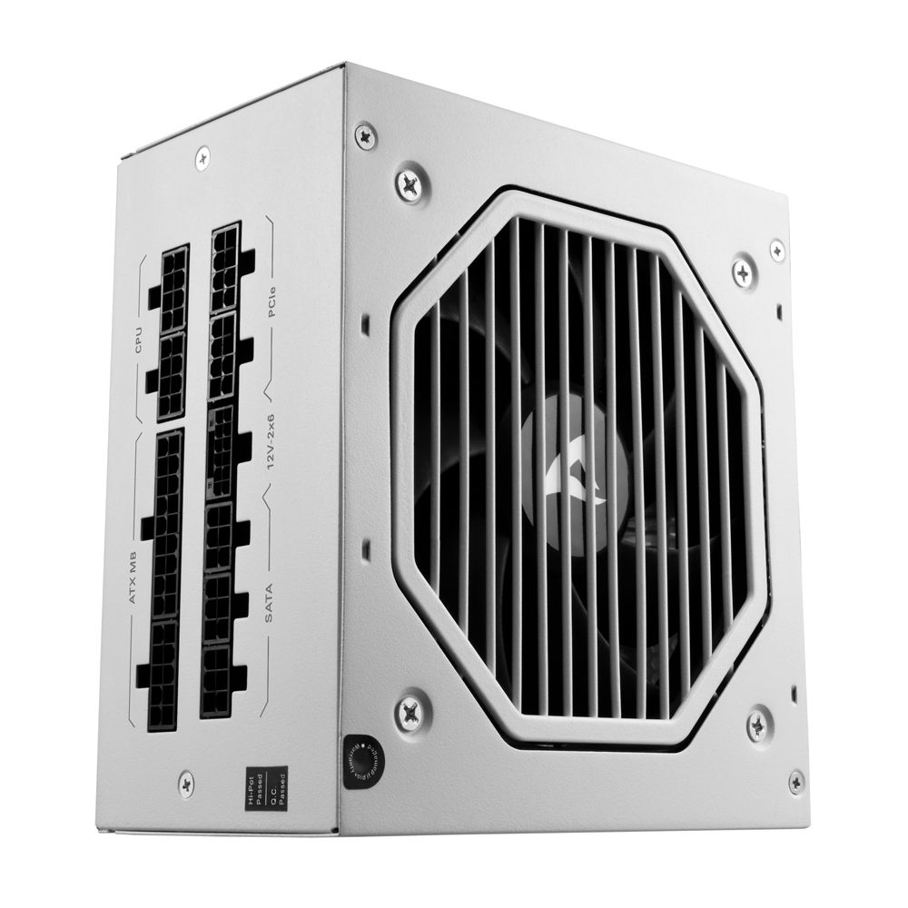 ATX 3.1 FULLY-MODULAR CYBENETICS GOLD 850W