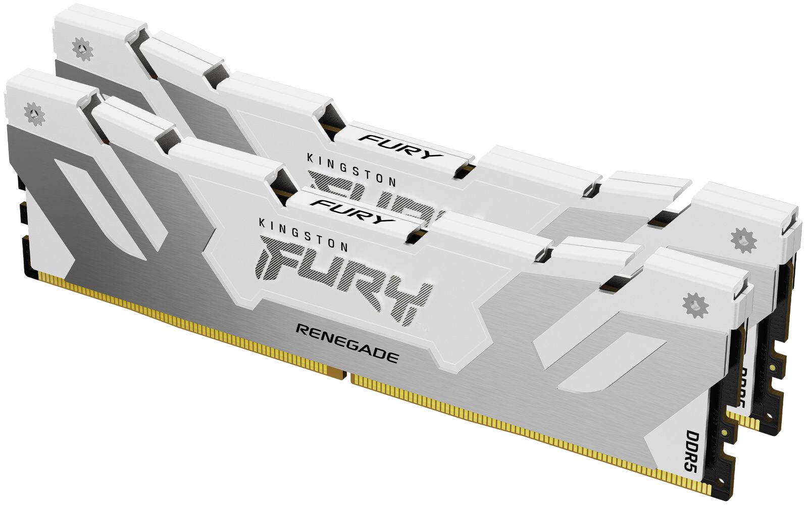48GB 8000MT/S DDR5 CL38 DIMM (2X24GB) FURY RENEG