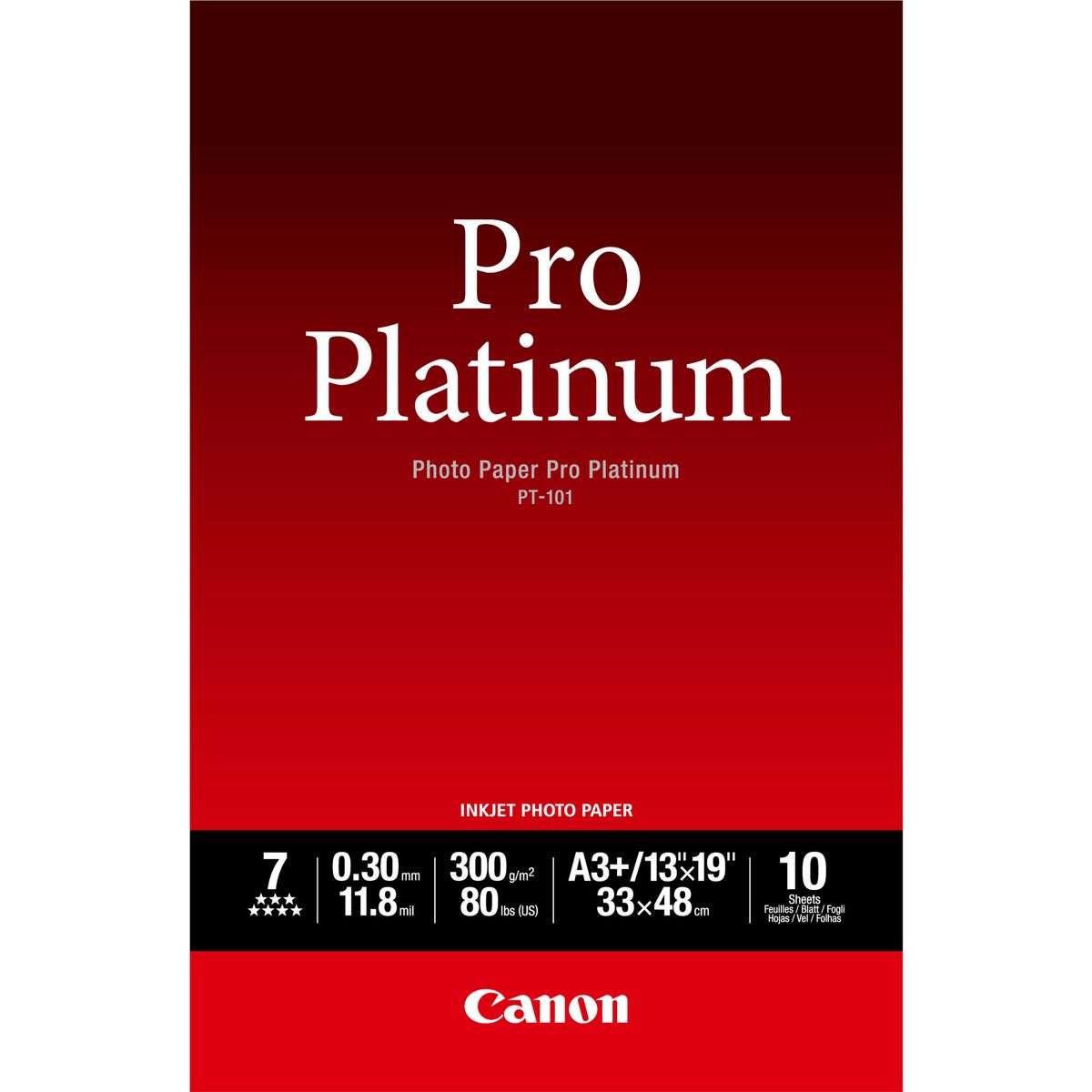 PT-101 PHOTO PAPER PRO PLATINUM A3+ 10 FF.  CARTA