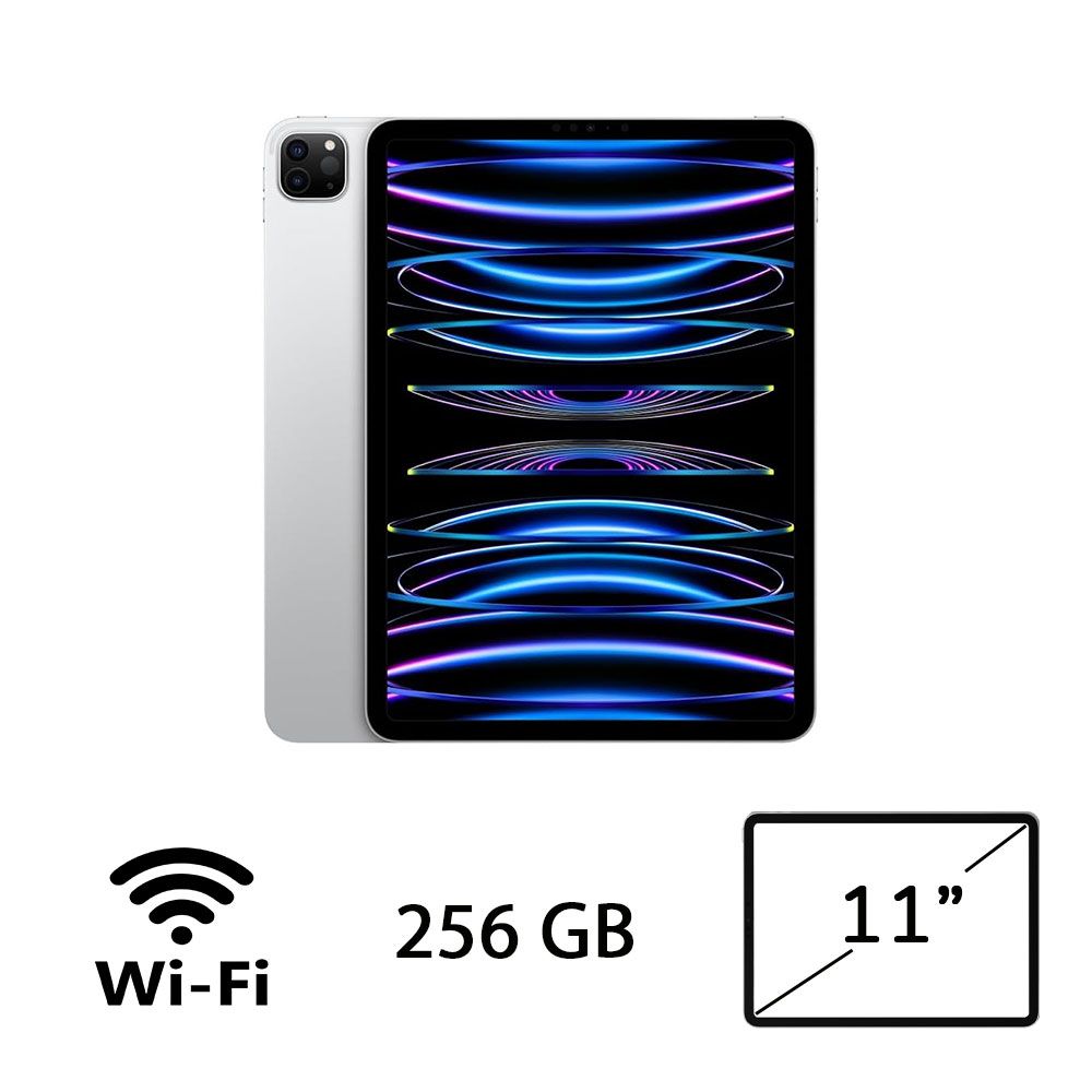 IPAD PRO 11 (4AGEN) WI-FI 256GB SLV/2Y