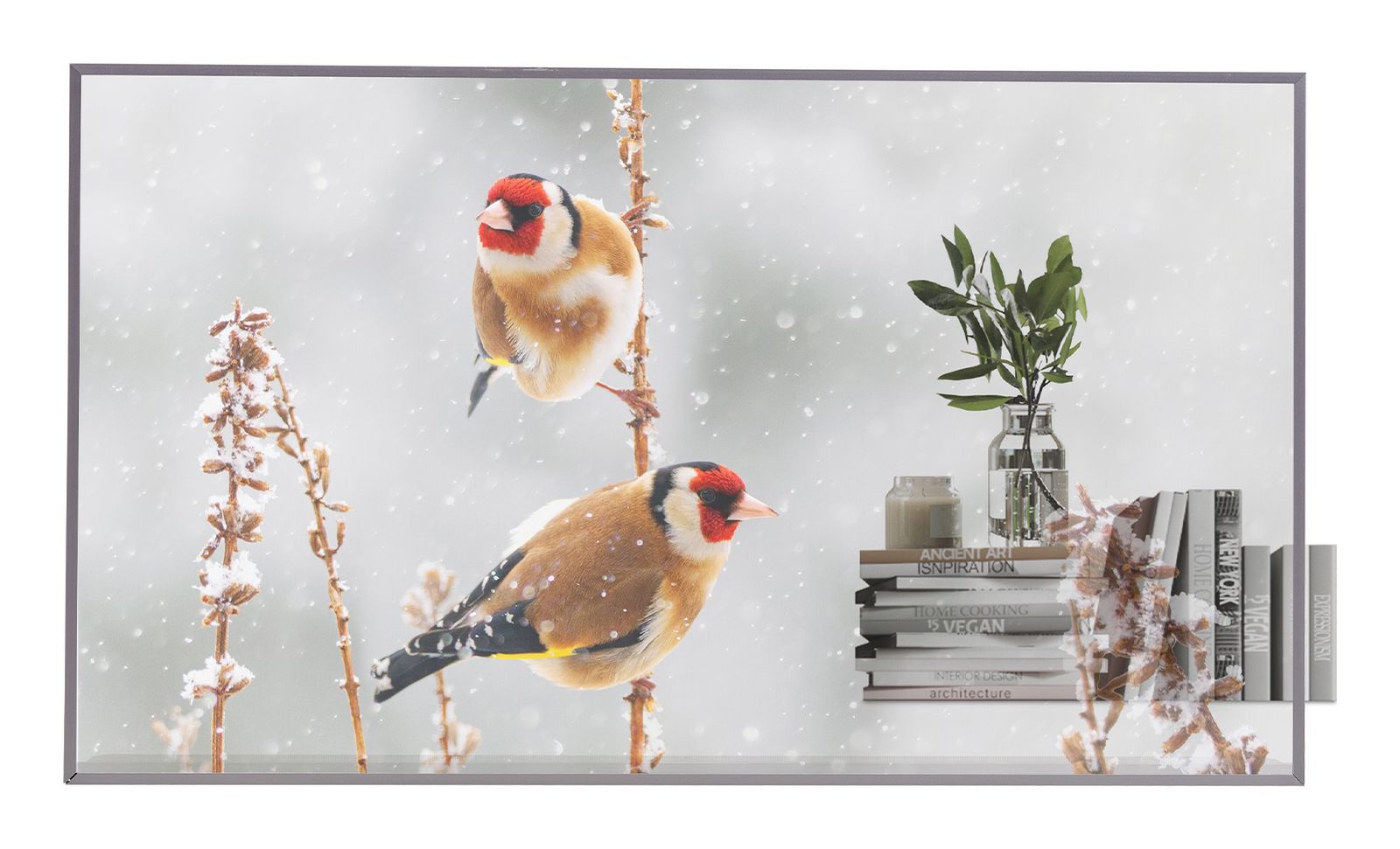 55 OLED, 1920X1080, 16:9