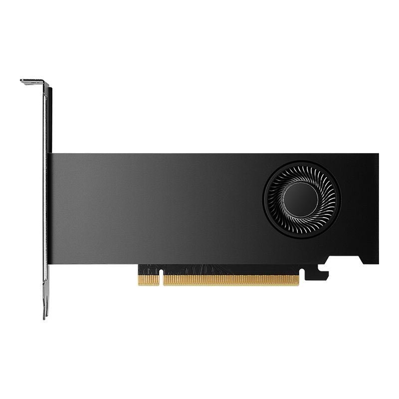 PNY NVIDIA RTX 2000 ADA 16GB