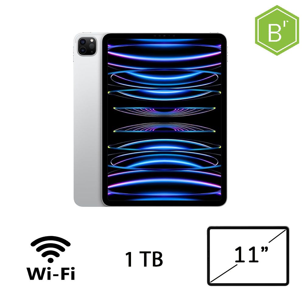 IPAD PRO 11 (4AGEN) WI-FI 1TB SLV/2Y - B