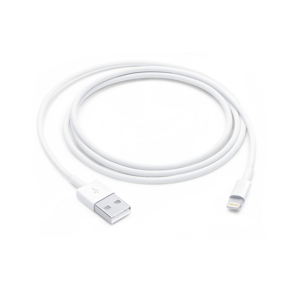 CAVO LIGHTNING APPLE A USB 1 MT
