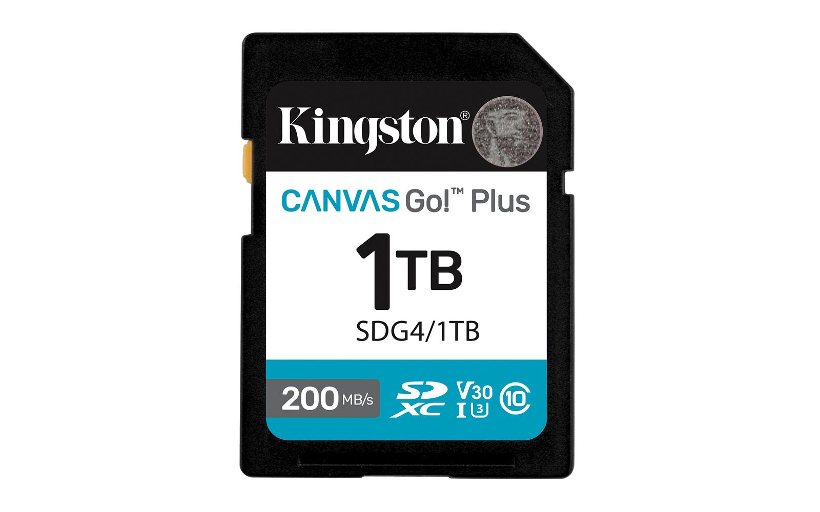 1TB SDXC CANVASGOPLUS G4 200MB/S C10UHS-I U3 V30