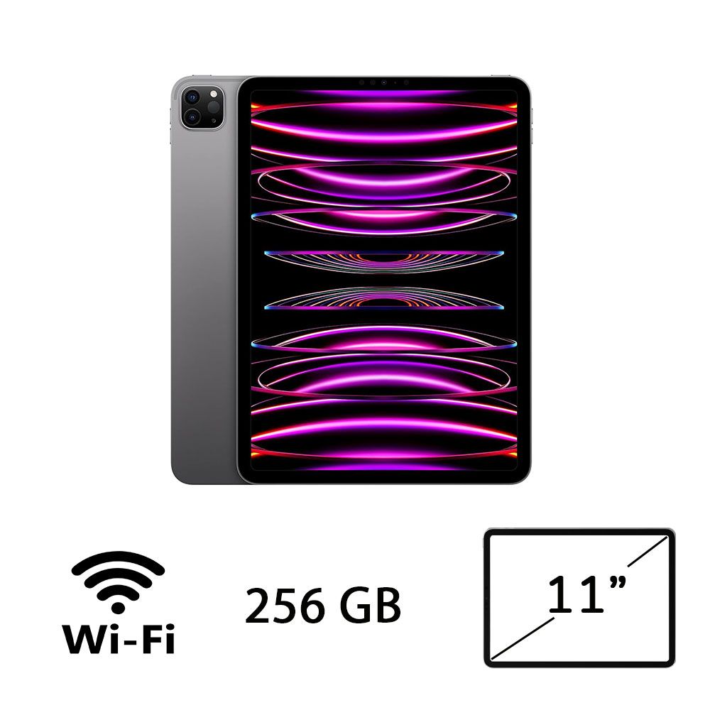 IPAD PRO 11 (4AGEN) WI-FI 256GB SG/2Y