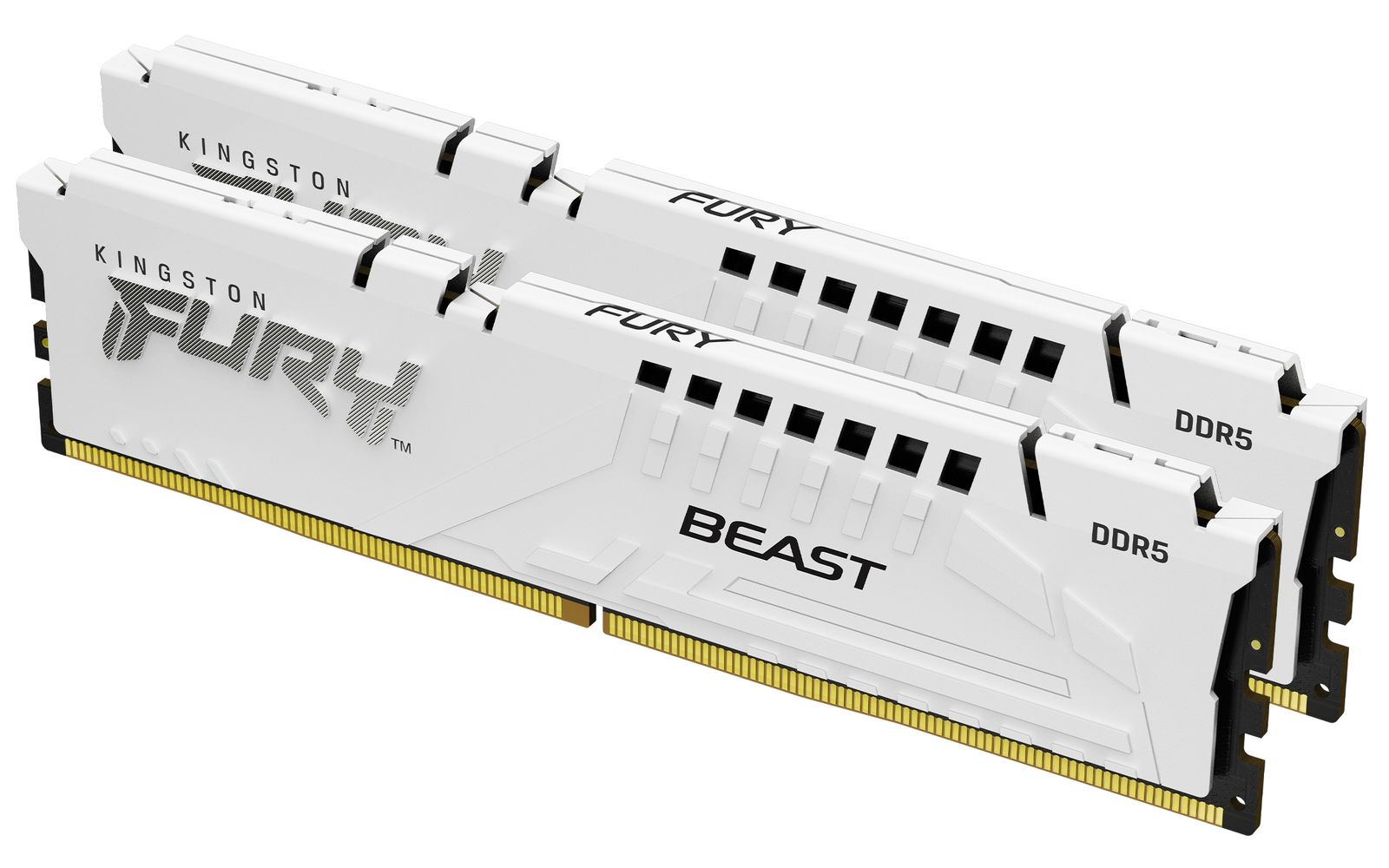 64GB 6000MT/S DDR5 DIMM FURY BEAST WHITE EXPO