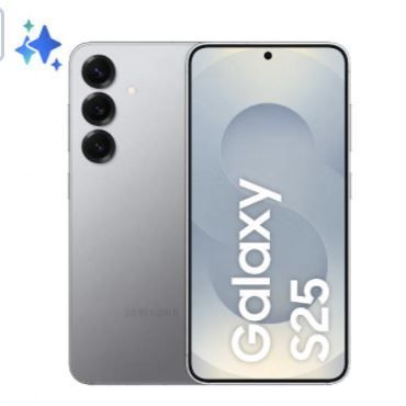 GALAXY S25 ENTERPRISE EDITION 12/256GB SILVER