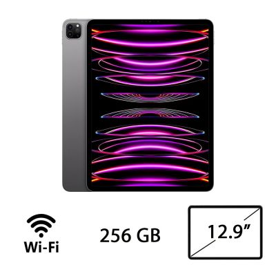 IPAD PRO 12.9 (6AGEN) WI-FI 256GB SG/2Y