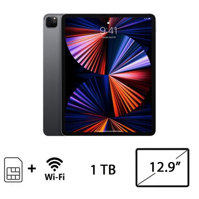 IPAD PRO 12.9 (6AGEN) WI-FI CELL 1TB SG/2Y