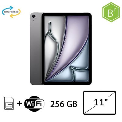 IPAD AIR 11 (6AGEN) WI-FI CELL 256GB SG/2Y - B