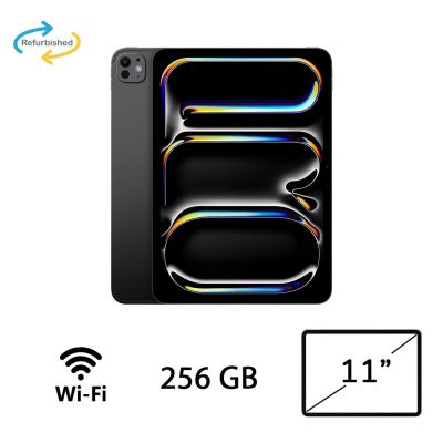 IPAD PRO 11 (5AGEN) WI-FI 256GB SB/2Y