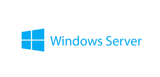 MS SQL SER 2022 STD WIN SER 2025 STD ROK 16C MULTI