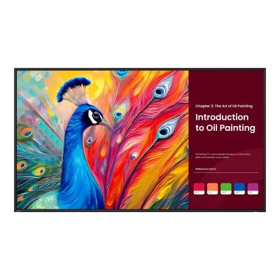 65   PANTONE X SKINTONE   LED  3840X2160 24/7