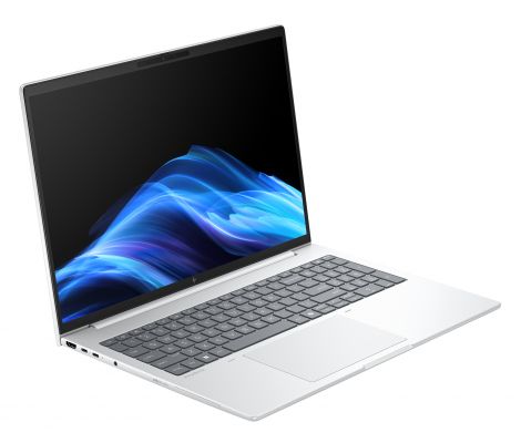 HP EliteBook 8 G1a Wolf Pro Security Edition AMD Ryzen AI 5 230 Computer portatile 40,6 cm (16") WUXGA 16 GB DDR5-SDRAM 512 GB SSD Wi-Fi 6E (802.11ax) Windows 11 Pro AI PC Argento
