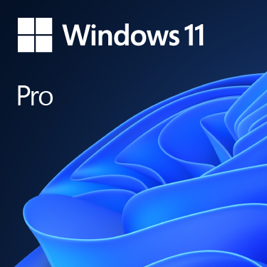WIN 11 PRO 64BIT ENG 1PK DSP OEI DVD