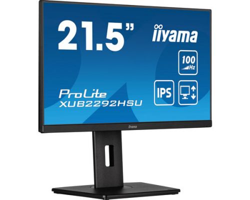21,5  ETE IPS-panel, 1920x1080@100Hz