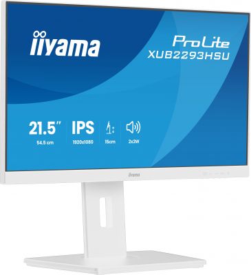 21,5  BUSINESS FHD  IPS