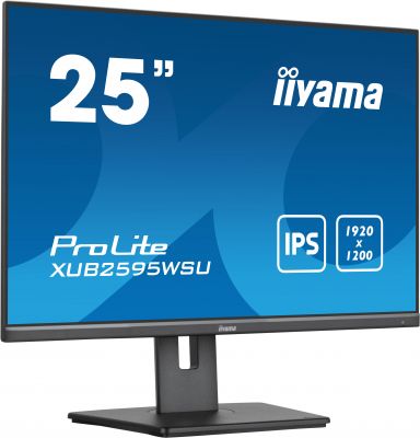 25  Business WUXGA IPS