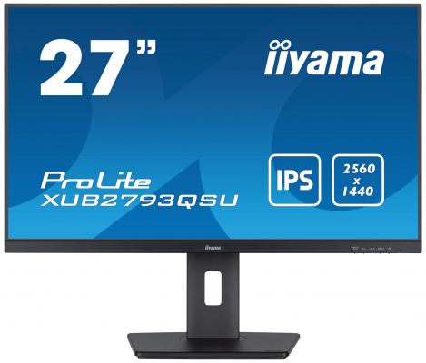 27 IPS 2560 x 1440 @100Hz (3.7 megapixel QHD)